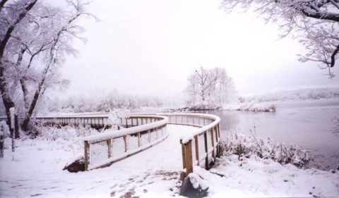 Bundle Up And Hit The Trails At These 9 Magical Winter Hiking Destinations In Michigan