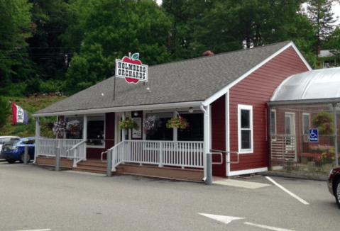 These Eight Farms In Connecticut Make The Most Succulent Thanksgiving Pies