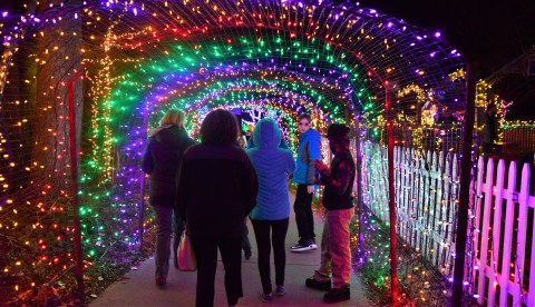 Take An Enchanting Winter Walk Through Brookside Gardens In Maryland