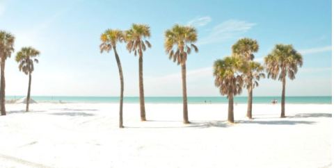 This U.S. Beach Has Some Of The Whitest Sand In The Whole Wide World