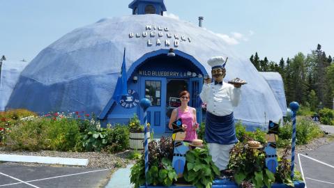 There’s A Maine Shop Solely Dedicated To Blueberries And You Have To Visit