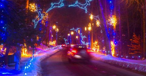 A Mesmerizing Christmas Display Massachusetts, Bright Nights At Forest Park Has Over 675,000 Glittering Lights