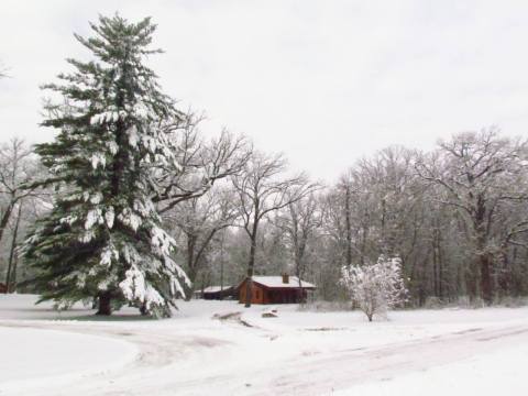 These Secluded Illinois Cabins Are Surrounded By Breathtaking Natural Attractions