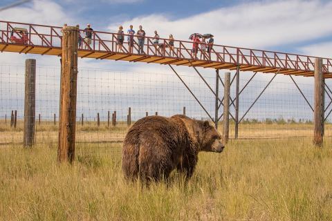 There’s A Wildlife Park Near Denver That’s Perfect For A Family Day Trip