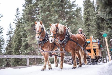 9 Winter Adventures To Have In Montana You Never Knew Existed