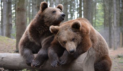 There’s A Wildlife Park Near Milwaukee That’s Perfect For A Family Day Trip