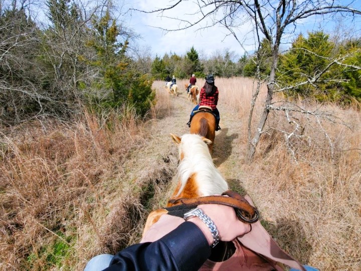 horseback riding in Southlake