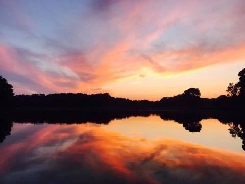 You'll Want To Visit This Stunning Tennessee State Park Nestled Right On The Mississippi