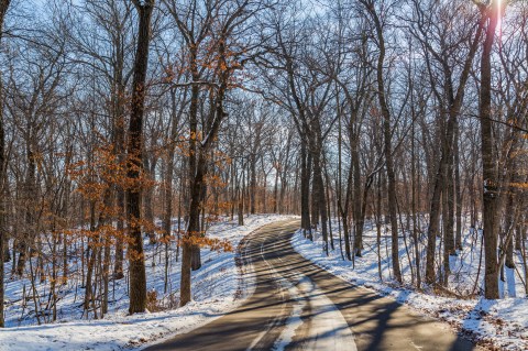 The One Snow-Covered Trail In Minnesota That You Have To Hike This Winter