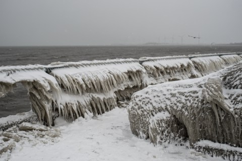 11 Brutal Truths About Surviving A Buffalo Winter