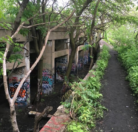 9 Staggering Photos Of An Abandoned Pier Hiding In Philadelphia