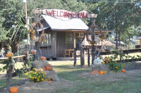 This Christmas Farm In Louisiana Will Positively Enchant You This Season