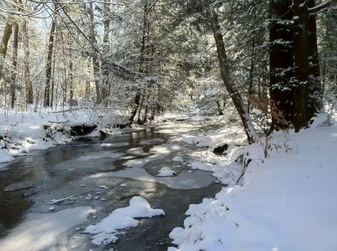 The Easy 1-Mile Winter Hike In Pittsburgh That's Positively Bewitching