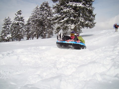 Here Are the 7 Best Places To Go Sled Riding In Denver This Winter