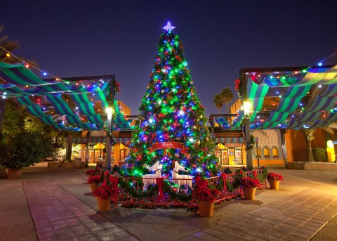 The Florida Amusement Park That Transforms Into A Winter Wonderland Every Year