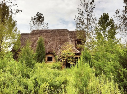 This Creepy Spot Deep In The Woods Of Virginia Is Like Something Out Of A Horror Movie