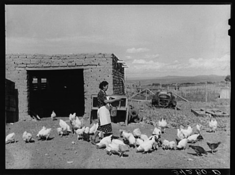 There’s Something Special About These 14 New Mexico Farms From The Past