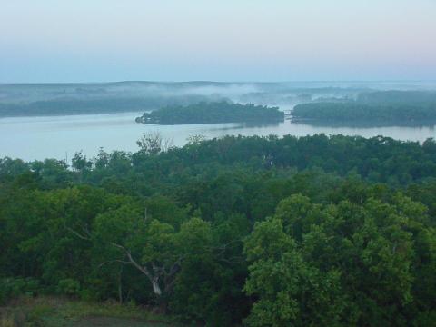 You'll Want To Explore This Incredible Kansas Forest Where Time Stands Still