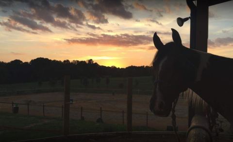 The Winter Horseback Riding Trail Near Charlotte That's Pure Magic