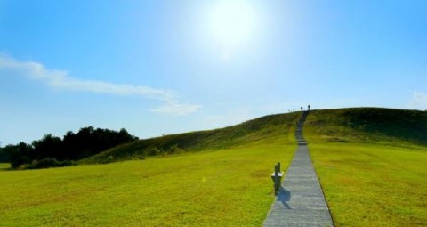 History Left A Definite Mark At This One Fascinating Spot In Louisiana