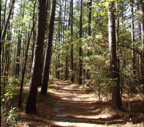 This Little Known Park In Illinois Is A Hidden Gem And It Will Take Your Breath Away