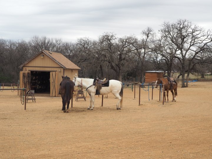 horseback riding in Southlake