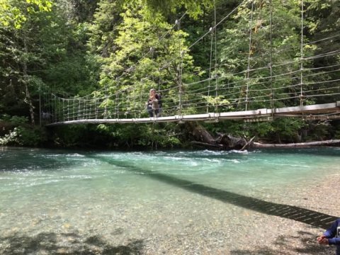 The Stomach-Dropping Suspended Bridge Walk You Can Only Find In Washington