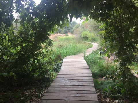 A Short Hike At This Peaceful Nature Preserve In Southern California Will Completely Refresh You