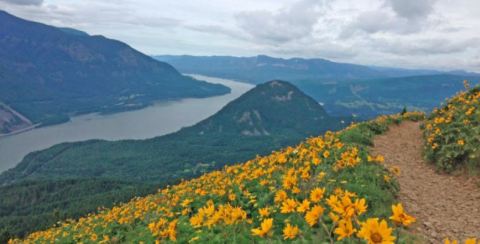 The One Scenic Overlook In The U.S. Where You Can See For Miles And Miles