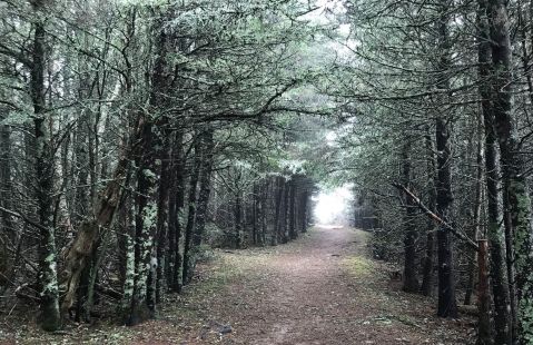 The Absurdly Beautiful Winter Hike In Maine That Will Make You Feel At One With Nature