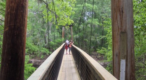 This Little Known Park In Florida Is A Hidden Gem And It Will Take Your Breath Away