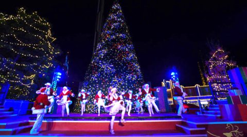 The South Carolina Amusement Park That Transformed Into A Winter Wonderland This Year