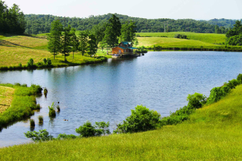 Escape Everyday Life At The Most Secluded Cabin In Kentucky