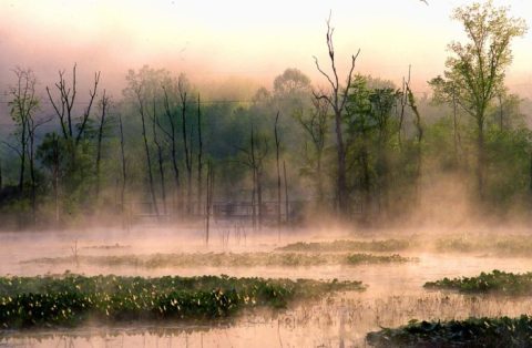 If There Are Only 5 Hikes You Ever Do In Greater Cleveland, Make Them These