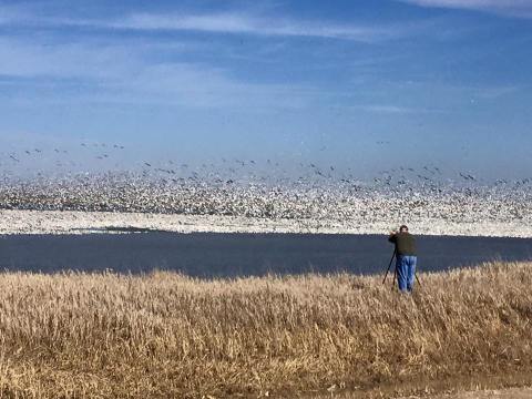 There's A Wildlife Park In North Dakota That's Perfect For A Family Day Trip