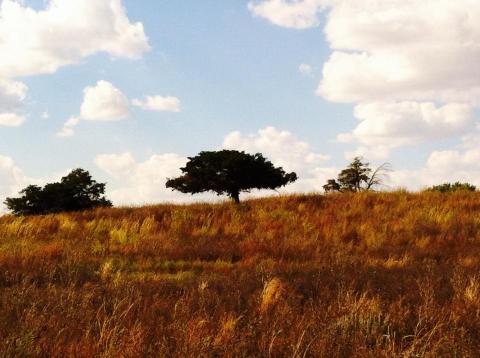 Most People Don't Know This Amazing Little Wildlife Park In Kansas Exists