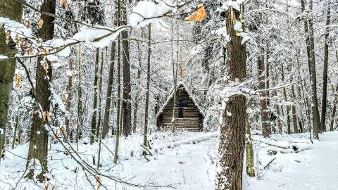 The 9 Best State Parks In Michigan For All-Season Hiking