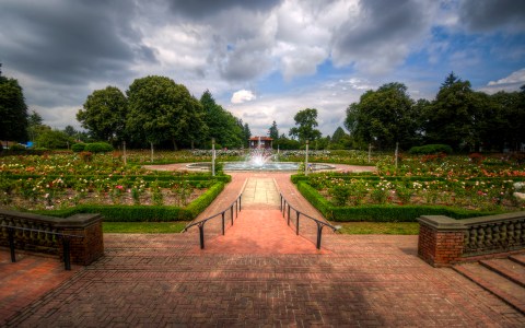 Why You Need To Visit This Unassuming Rose Garden Hiding In Portland