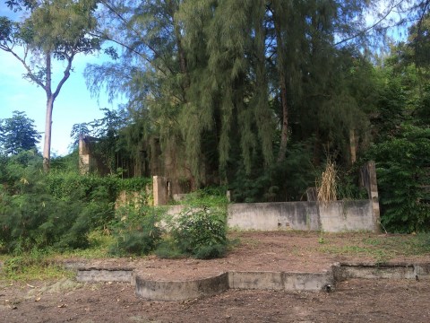 Most People Don’t Know About These Strange Ruins Hiding In Hawaii