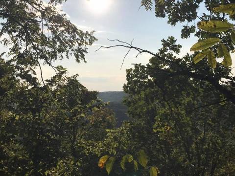 This Hidden Trail In Iowa Leads To A Magnificent Archaeological Treasure