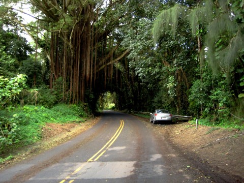 The Hawaii Ghost Story That Will Leave You Absolutely Baffled