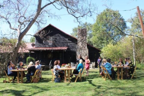 The Georgia Restaurant  In The Middle Of Nowhere That’s One Of The Best On Earth