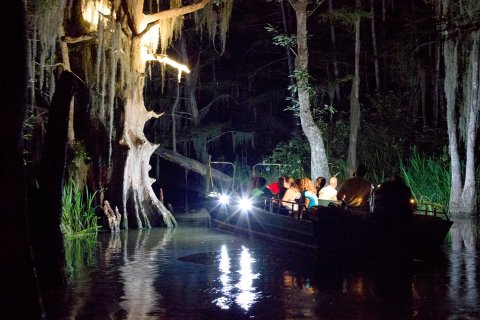 This Nighttime Swamp Tour Will Show You A Whole New Side Of New Orleans