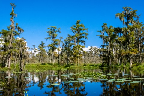 A Trip To This Wildlife Refuge Near New Orleans Is A Picture Perfect Adventure