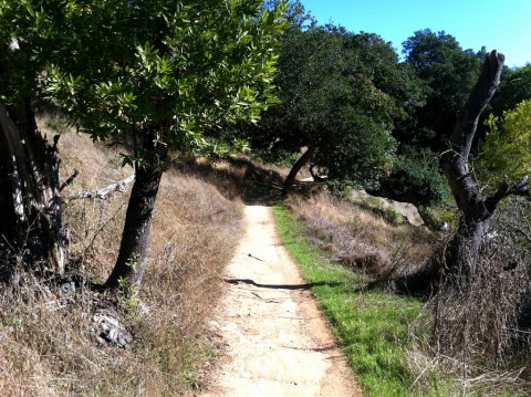 The Haunted Trail Near San Francisco That Will Scare You Silly