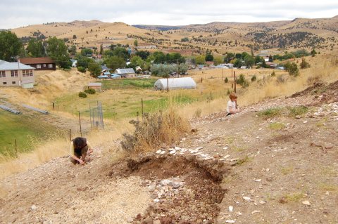 The Epic Park In Oregon Where You Can Take Home 30-Million-Year-Old Fossils