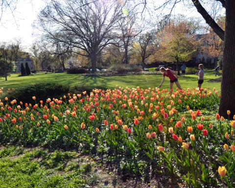 The Secret Garden In Baltimore You’re Guaranteed To Love