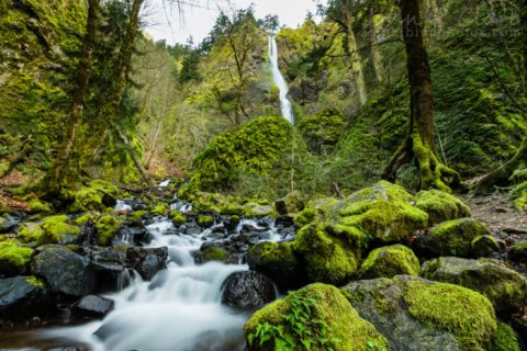 9 Overlooked Oregon State Parks You Should Explore This Year