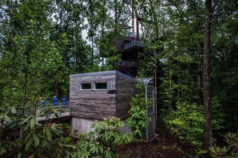 Most People Have No Idea This Incredible Treehouse Even Exists In West Virginia