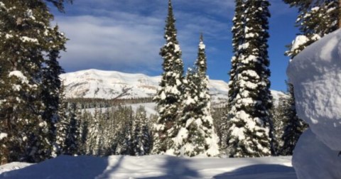 The Winter Horseback Riding Trail In Wyoming That's Pure Magic